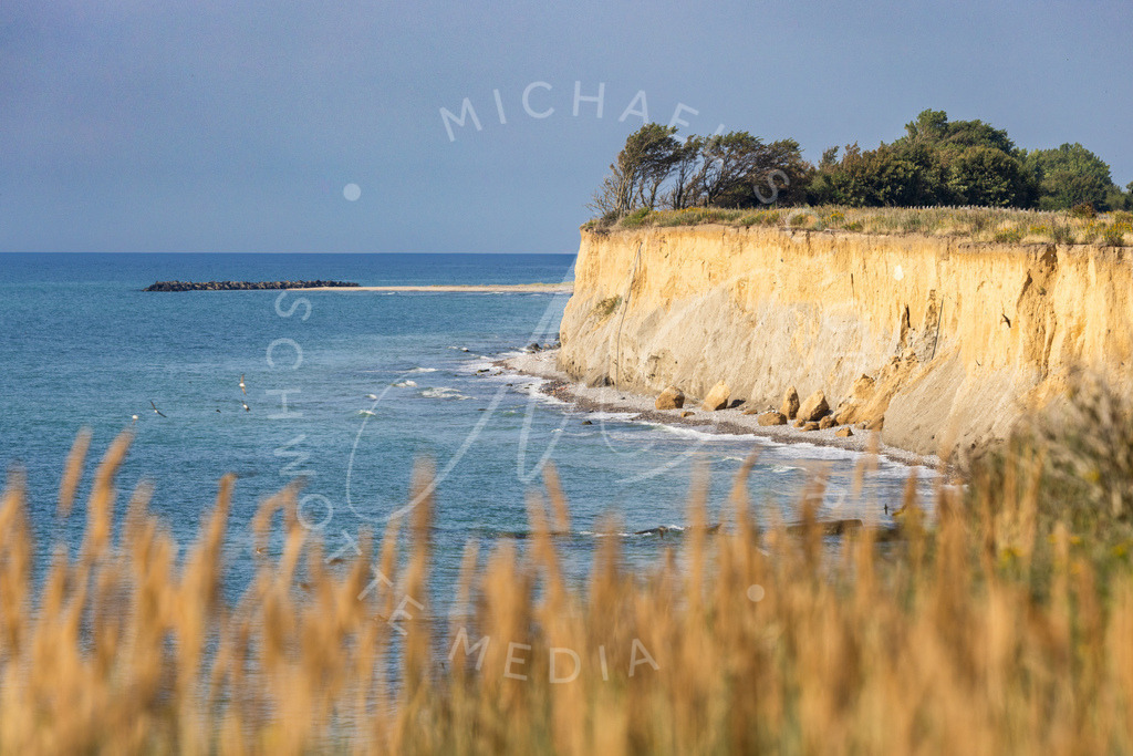2023-07-24 Ostsee Ahrenshoop 024 | Schwotte Media - Realisiert mit Pictrs.com
