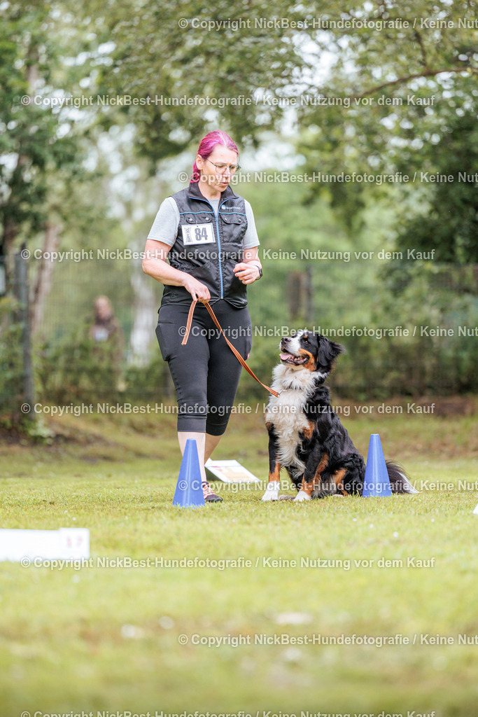 RO-Blumenthal-2026-Nickbest-Hundefotografie-3805 | Dein Hund! Dein Moment! Deine Erinnerungen! Hundefotografie in Bremen Blumenthal. Ich fange die besonderen Momente deines Vierbeiners ein – ob Indoor mit Blitzanlage oder in der freien Natur. Sicher dir dein Moment und dein Termin für eure Erinnerungen.