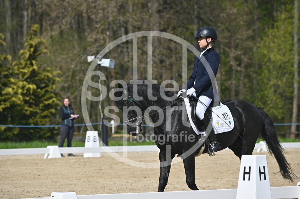 DSC_1151 | sattelsport - Realisiert mit Pictrs.com