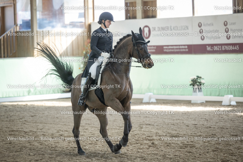 _D5A9895 | Emotionale Pferde- & People-Fotografie rund um Heidelberg, Leimen & Umgebung. Natürliche Fotos von Pferd, Mensch & Familie. Jetzt Termin sichern!