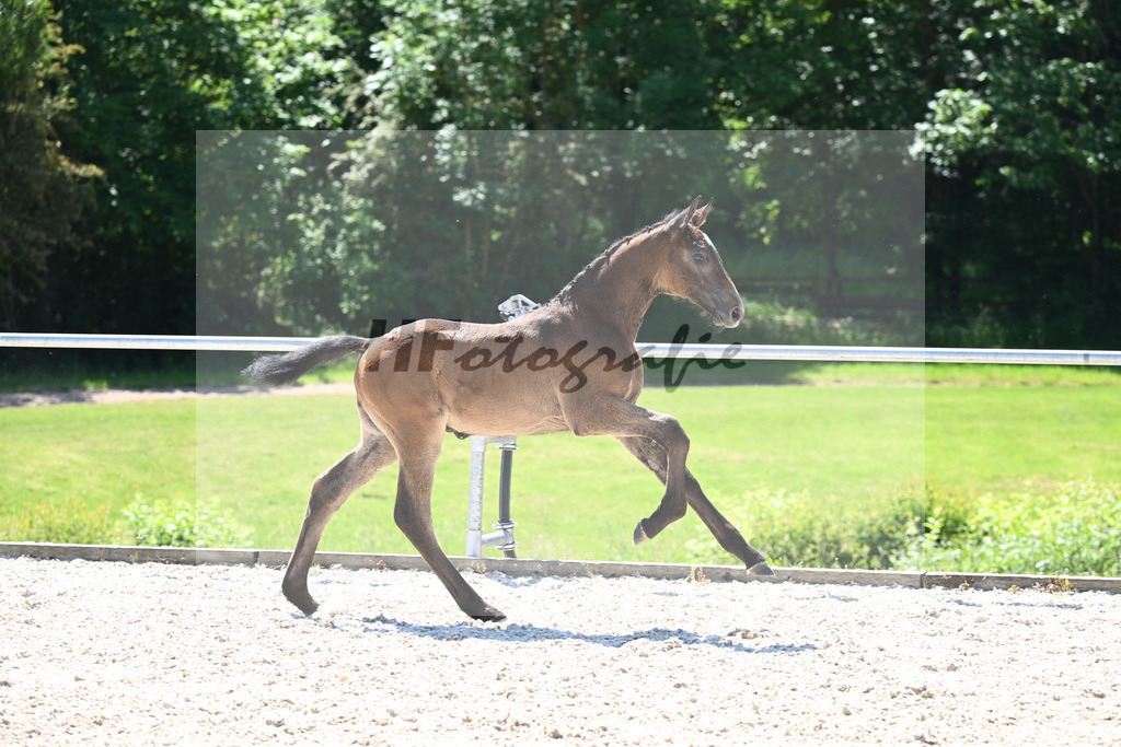 Kat-Nr. 10 HF Comme il faut_Hackl-Kneer_16230378 | hf-fotografie - Realisiert mit Pictrs.com