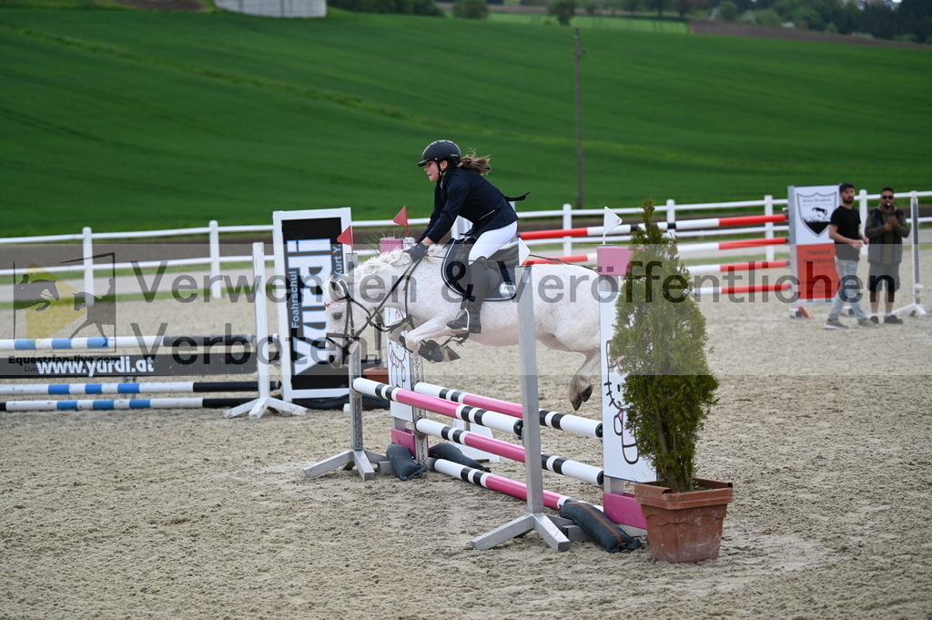 DSC_0334 | equestrian-live-com