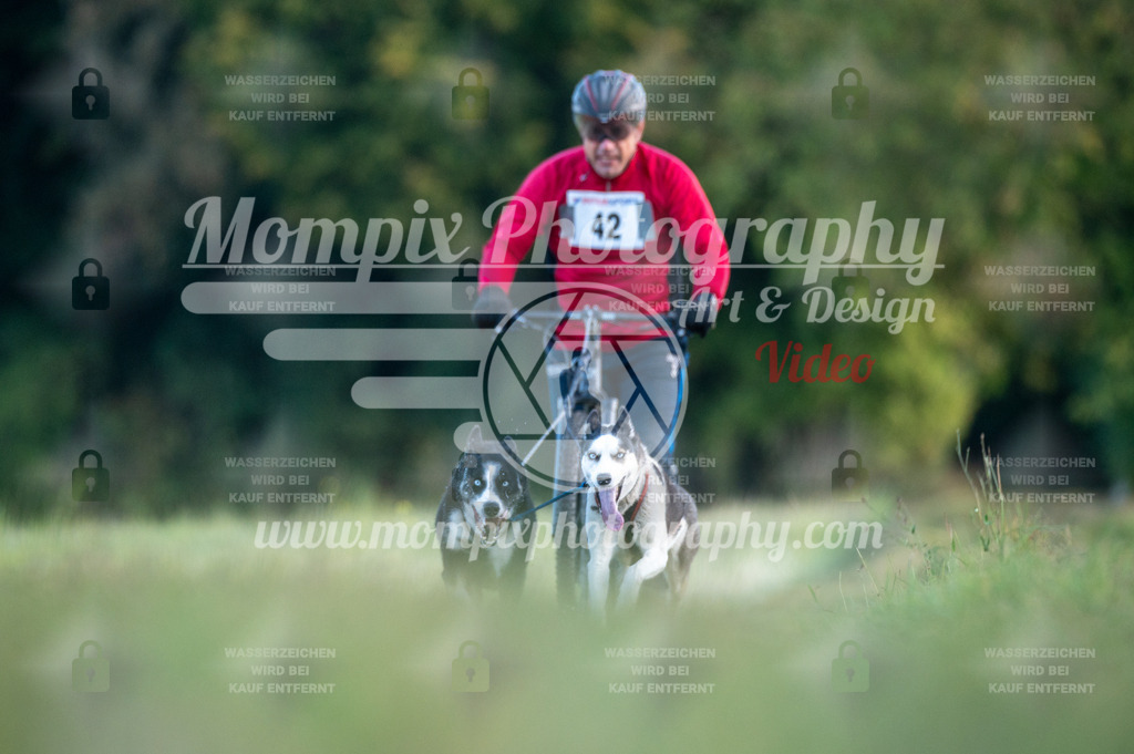 CDLBDB_15_10_2023_Dimanche-93 | PayLife