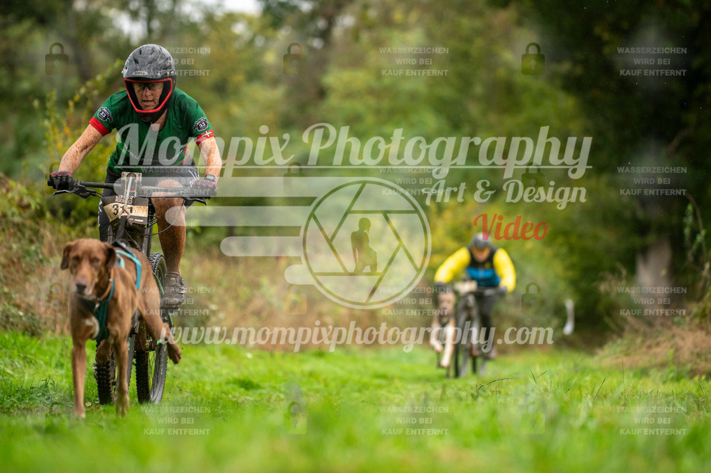 TSB_2023_E6_Bike-37 | PayLife