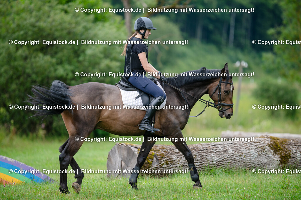 20250725_Vielseitigkeitslehrgang-Marbach_0073 | Foto: Thomas Hartig