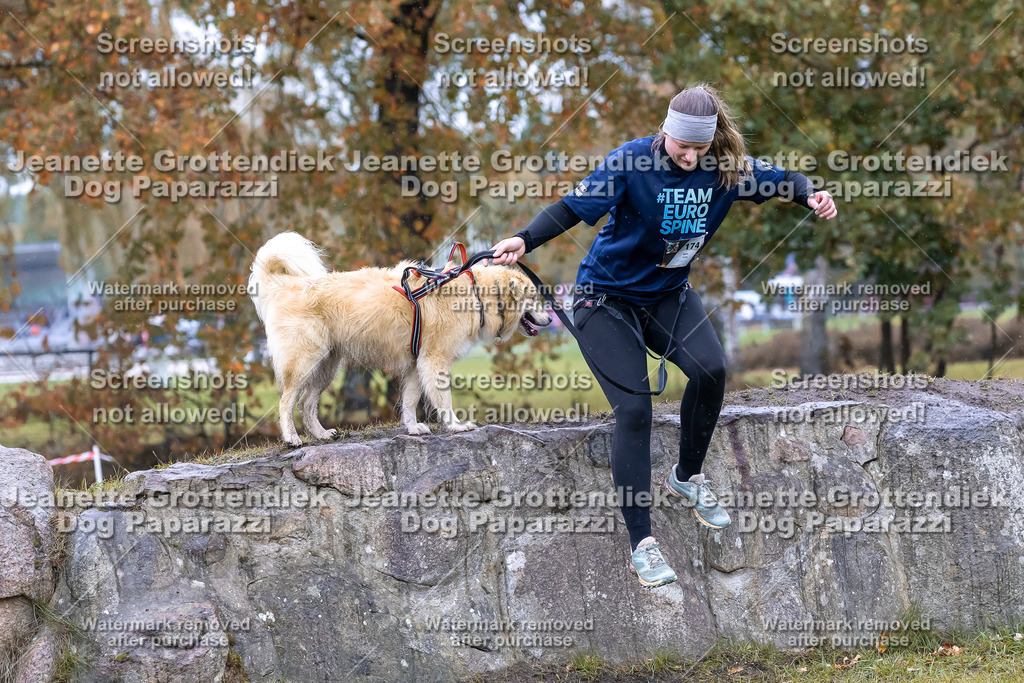 Dog Paparazzi - SD CaniX Championship 2025-841 | Dog Paparazzi Jeanette Grottendiek Fotografie & Videografie - Realisiert mit Pictrs.com