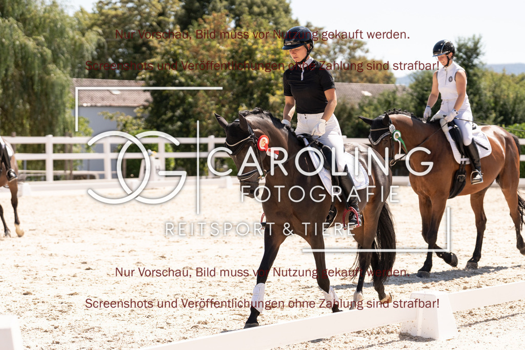 DSC05853 | Dressurturnier_Göppingen_2026, Manuela_Narr, Finesse