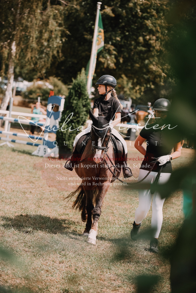 DSC_6148 | Pferde- und Turnierfotografie in Westsachsen. Pferdeportraits, Auftragszeichnungen und intuitive Kunst.