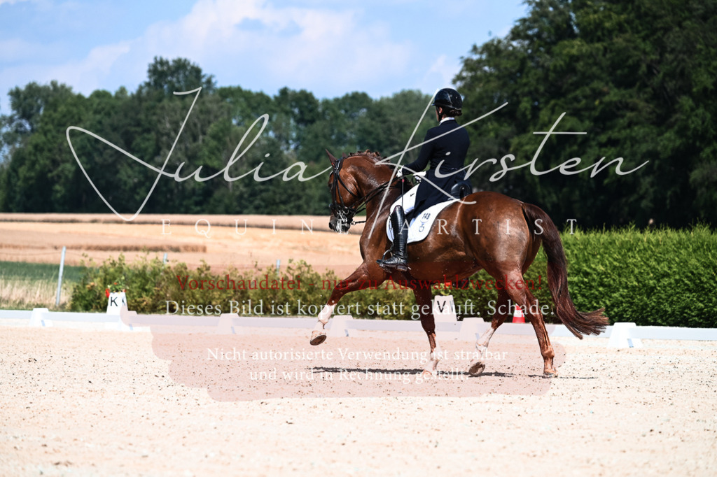 DSC_2852 | Pferde- und Turnierfotografie in Westsachsen. Pferdeportraits, Auftragszeichnungen und intuitive Kunst.