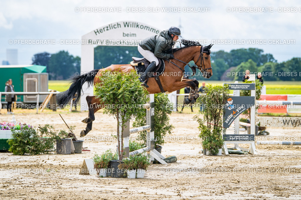 DSC04767 | Pferdegrafie