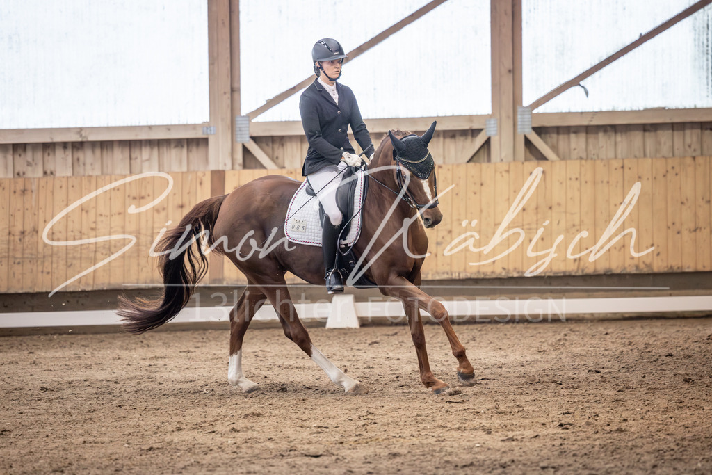 20251011-_3LI1860 | Tierfotografie Pferde, Hunde, Katzen, Haustiere.
Turnierfotografie Reitturniere, Reiten, Springreiten, Dressur in Hanau, dem Main-Kinzig-Kreis und dem Rhein-Main- Gebiet um Frankfurt