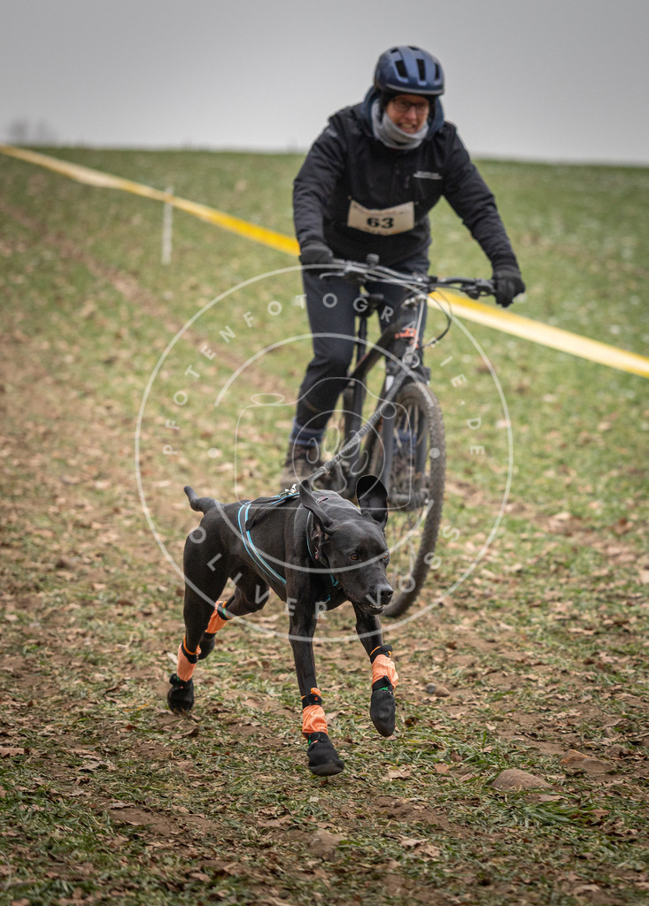 Pfotenfotografie_DV3A2751 | Hundefotografie, Tierfotograf, Pfotenfotografie, Fotoshooting Hund, Hunde Portrait, Hundesport, Hundeportraits, Heideshooting, Hunde, Sportfotograf, Hundefotograf, Turnierhundsport, THS,  - Realisiert mit Pictrs.com