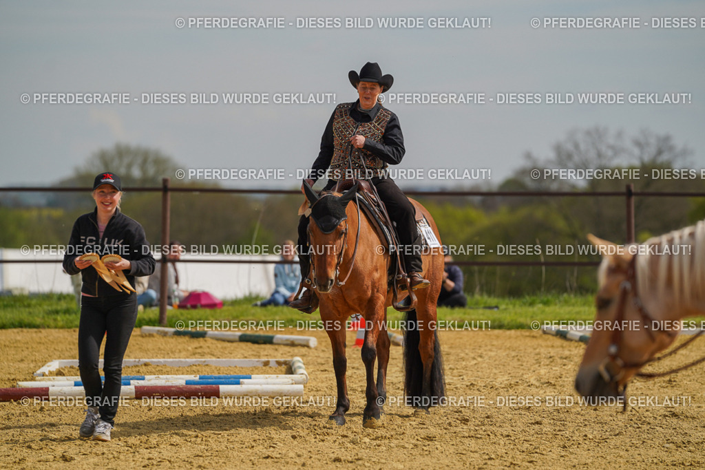 DSC04207 | Pferdegrafie