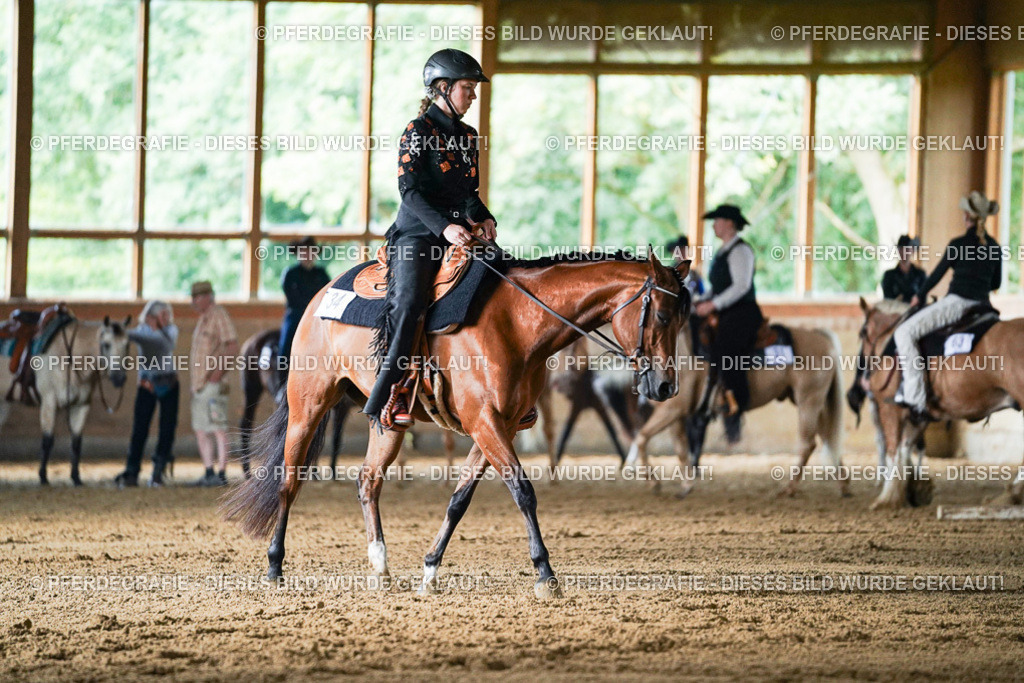 DSC05470 | Pferdegrafie