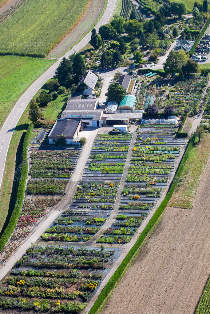 Luftbild: Glasdach- Flächen in den Gewächshausreihen zur Blumenzucht von Gartenzeiten Schwarz im Ortsteil Bodersweier in Kehl im Bundesland Baden-Württemberg in Deutschland. Foto: IMG_20630.jpg vom 31.08.2009 durch Werner Riehm/FLY-FOTO.de