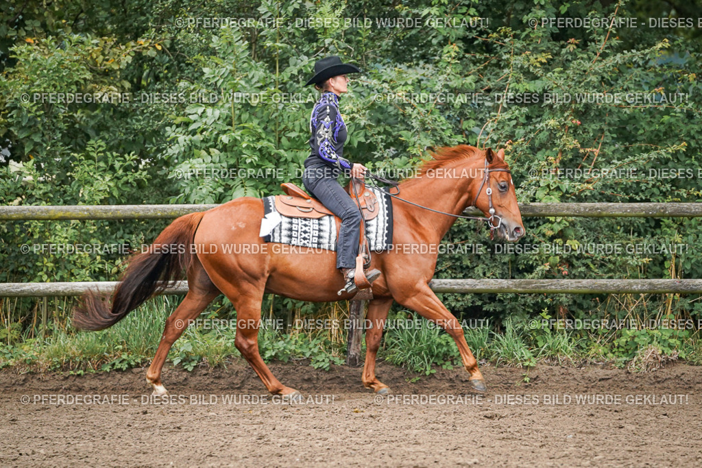 DSC01994 | Pferdegrafie