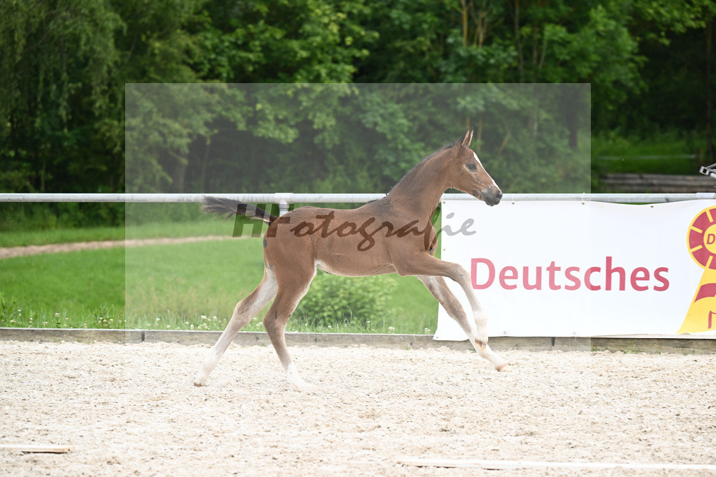 Diacord x Ciacomini_SF_Trukenbrod_20241163 | hf-fotografie - Realisiert mit Pictrs.com
