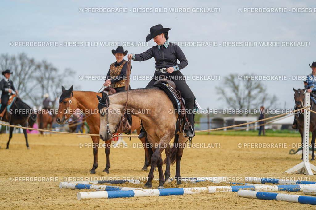 DSC03786 | Pferdegrafie