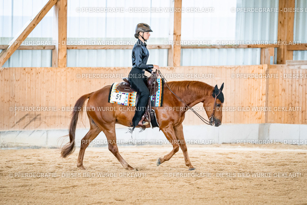 DSC02599 | Pferdegrafie