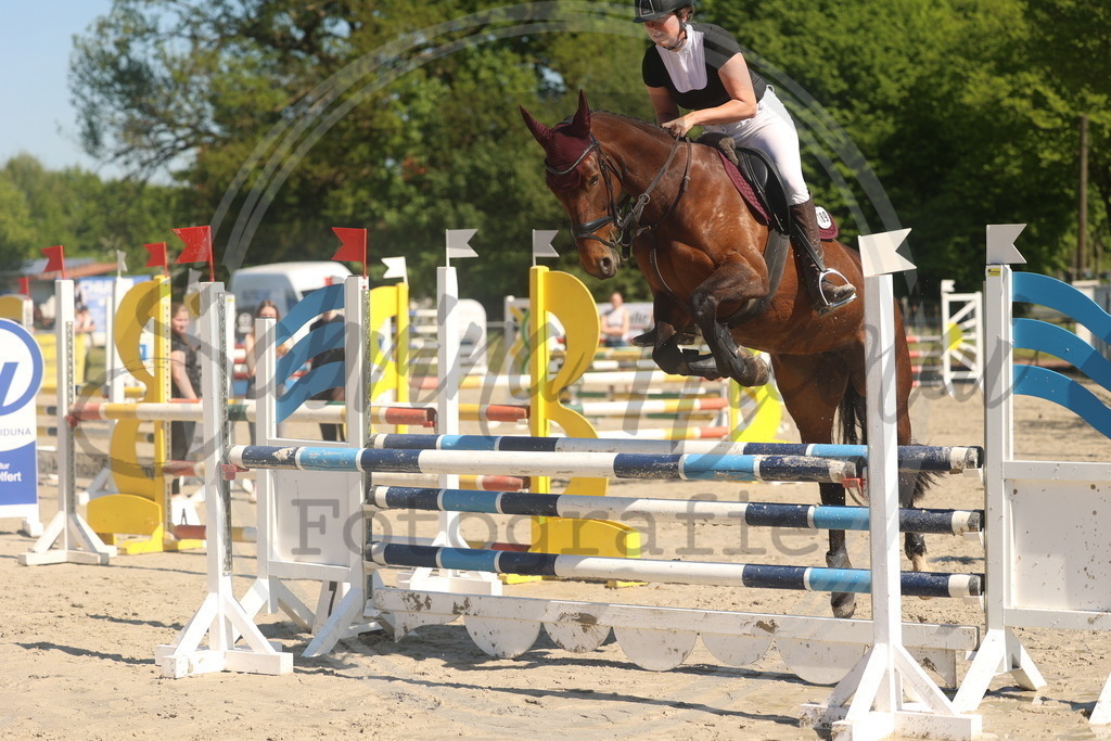 994A5994 | sabrinanicolaifotografie - Realisiert mit Pictrs.com