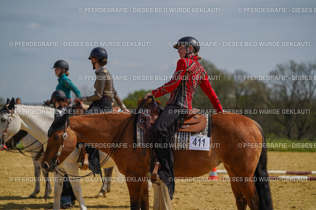 DSC04796 | Pferdegrafie