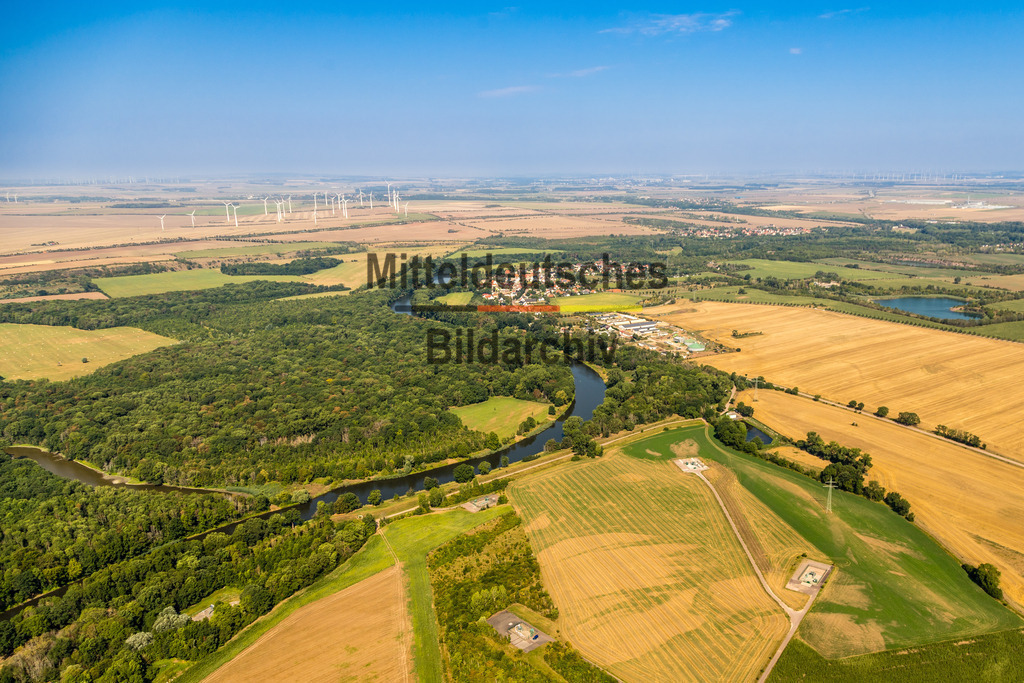 Saale Auenwald Plötzkau bei Bernburg-9839 | Saale - Realisiert mit Pictrs.com