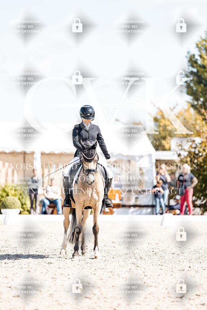 CK903775 | Turnierfotografie Pferdefotografie Trier Rheinland-Pfalz Pferdesport Reitsport Tierfotografie Sportfotografie Pferdevideo Pferdevideografie Equestrianvideography equestrianphotography  - Realisiert mit Pictrs.com