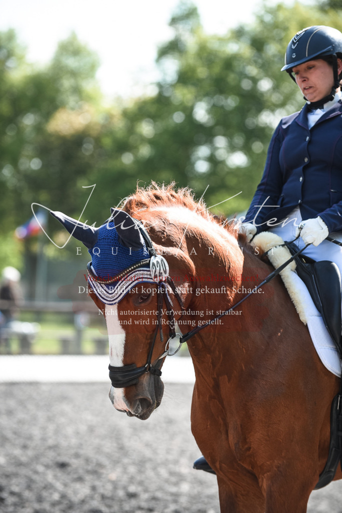 DSC_8860 | Pferde- und Turnierfotografie in Westsachsen. Pferdeportraits, Auftragszeichnungen und intuitive Kunst.