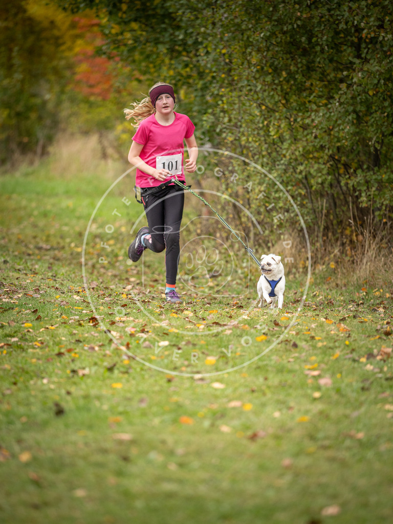 Pfotenfotografie_DV3A3473 | Hundefotografie, Tierfotograf, Pfotenfotografie, Fotoshooting Hund, Hunde Portrait, Hundesport, Hundeportraits, Heideshooting, Hunde, Sportfotograf, Hundefotograf, Turnierhundsport, THS,  - Realisiert mit Pictrs.com