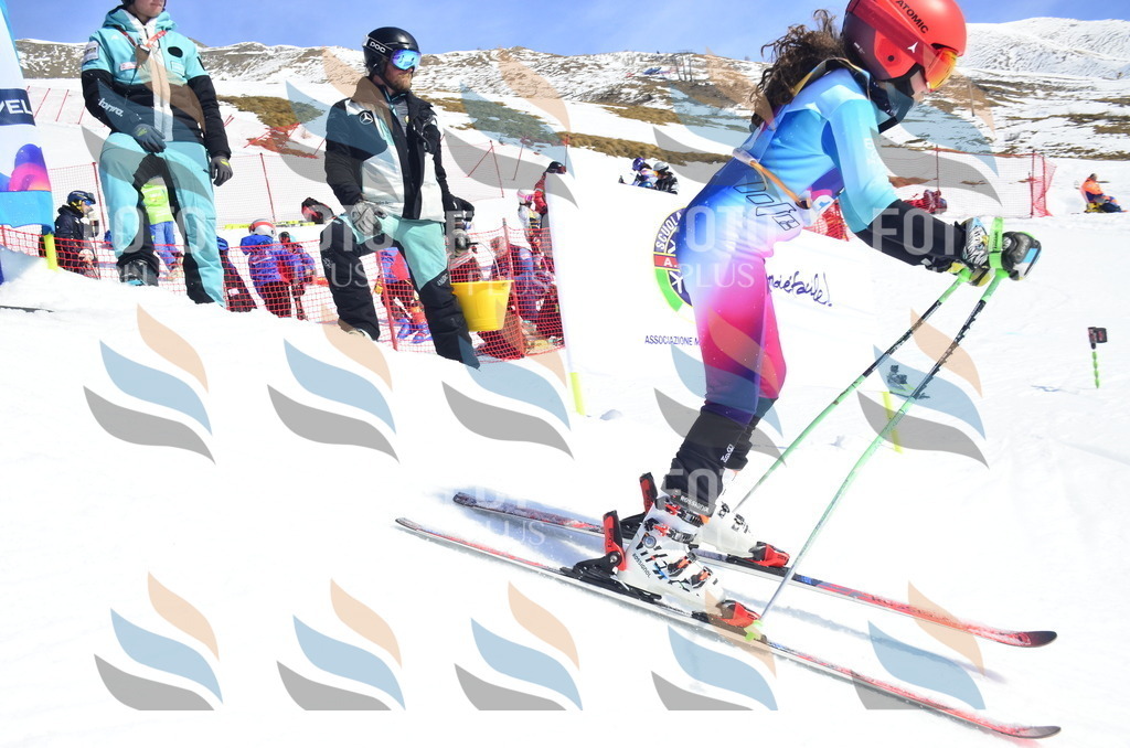 _ELE0865 | holidayphoto