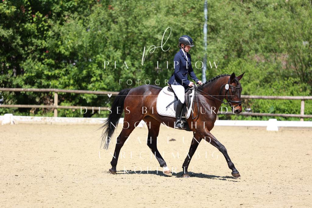 IMGS2974 | pl-fotografie