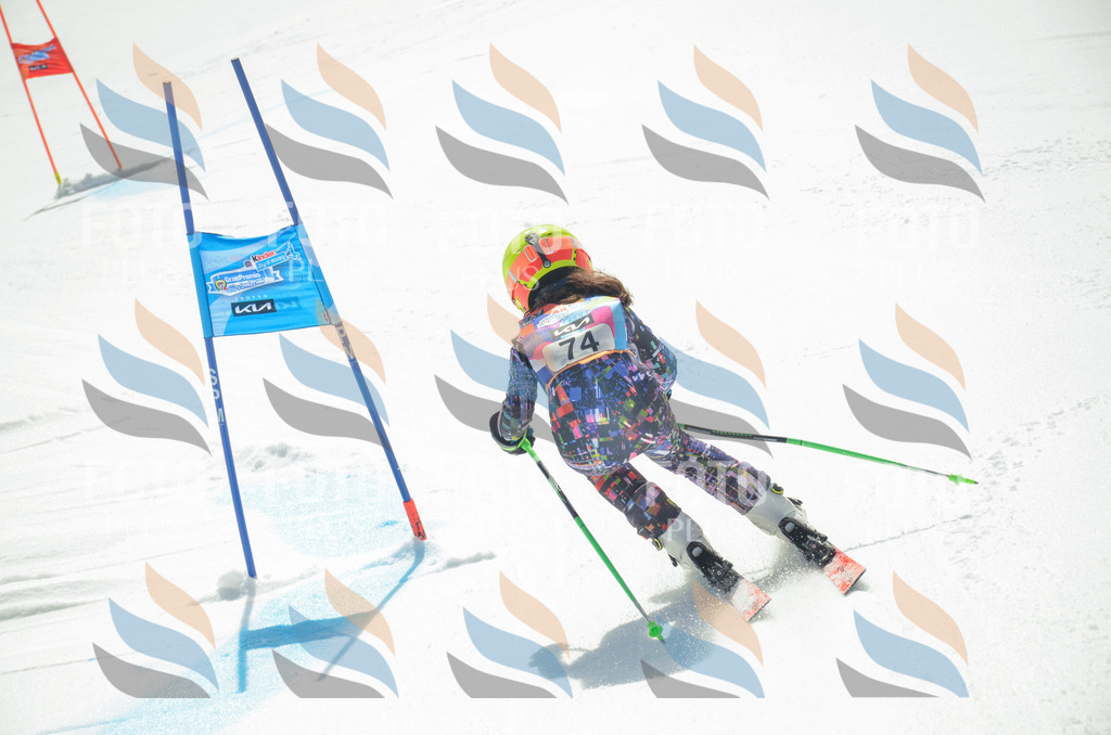 _ELE5478 | holidayphoto