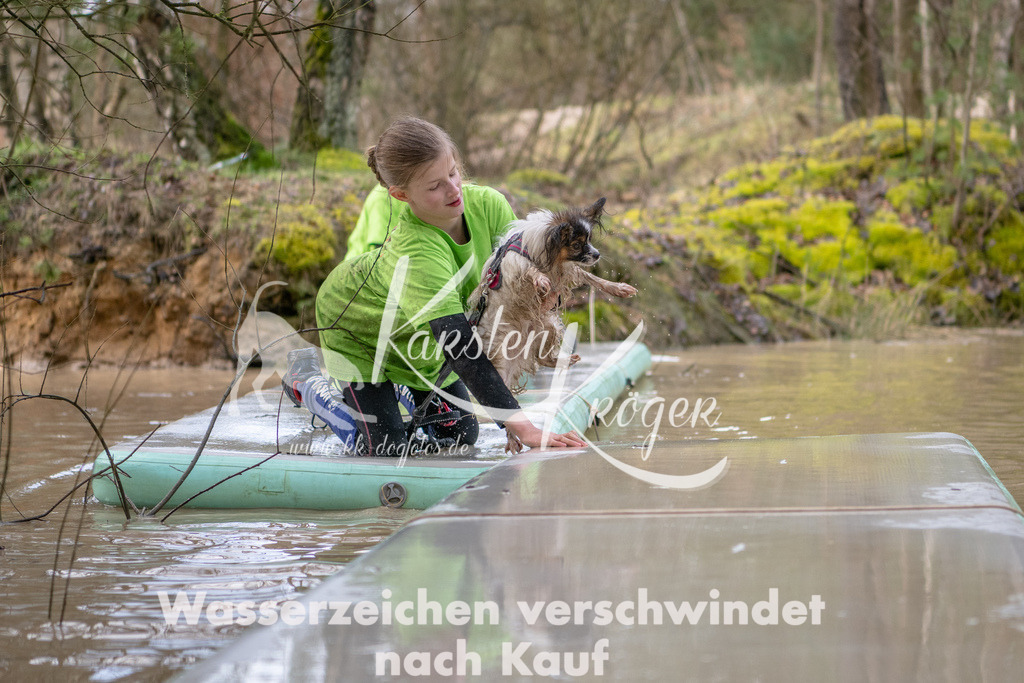 0951_ZZ91489 | kk-dogfotos