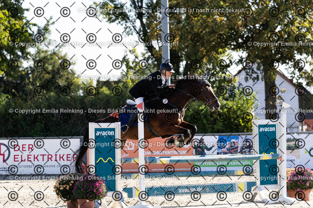 CL5A1365 | Emilia Reinking Fotografie - Realisiert mit Pictrs.com