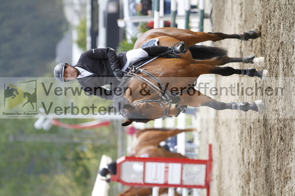 _MG_2983 | equestrian-live-com
