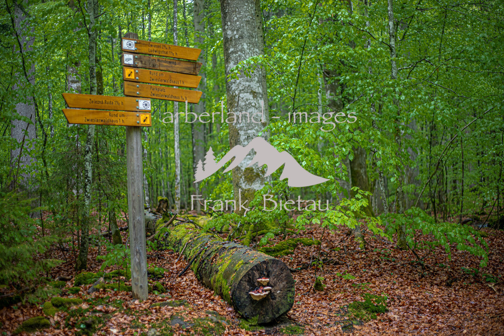 OE7A5355 | Wegweiser im Nationalpark, Hinweisschilder