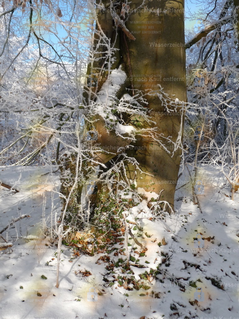 P1000222 | Fotoseite Wolkenblende - Das Hobby fotografieren begleitet mich schon  viele  Jahre. Auf den nächsten Seiten zeige ich ein paar Schnappschüsse der letzten Jahre und es kommen immer neue hinzu. Schau einfach mal rein. - Realisiert mit Pictrs.com