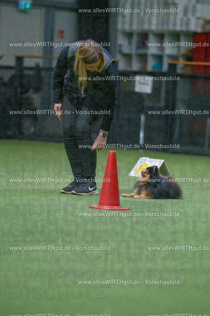 7R503476 | Professionelle Tierfotografie in Mönchengladbach von Daniel Wirth (allesWIRTHgut). Liebevolle & natürliche Bilder von Hunden & Katzen für unvergessliche Erinnerungen.