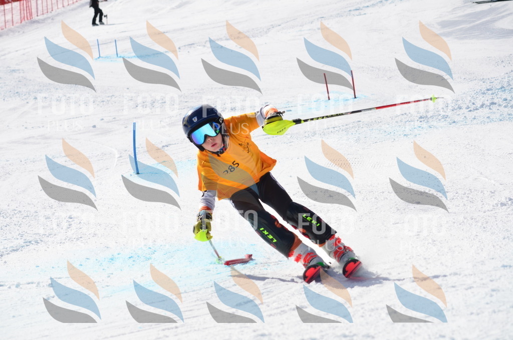 C8662 | holidayphoto