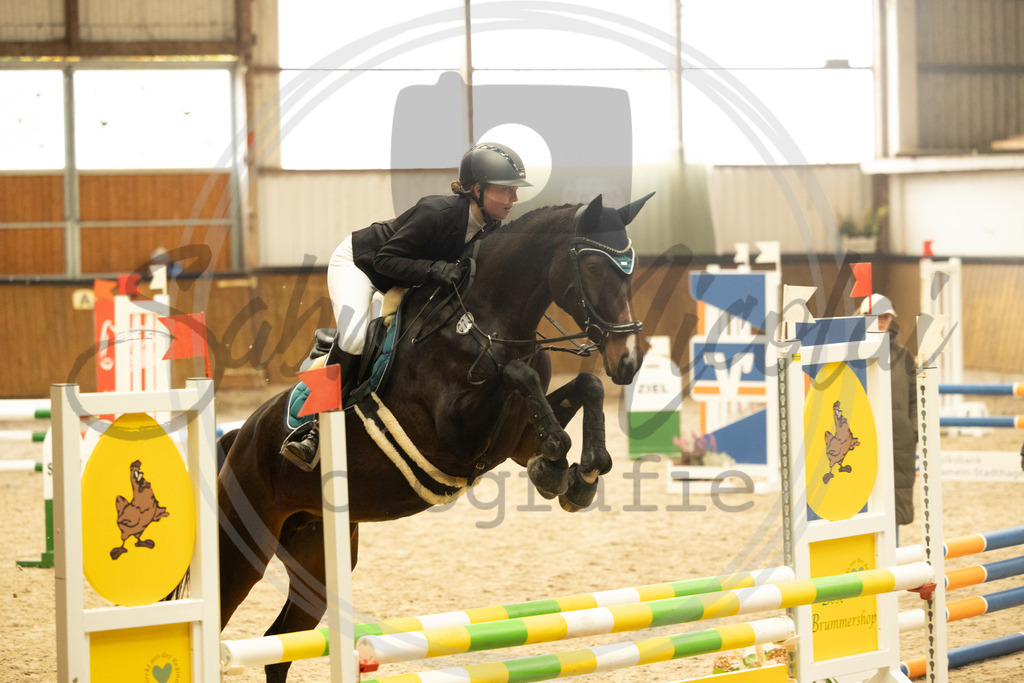 994A5600 | sabrinanicolaifotografie - Realisiert mit Pictrs.com