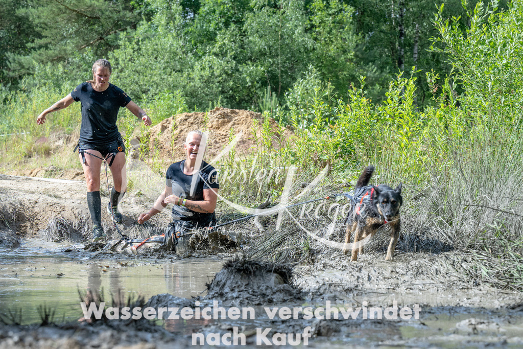 0956_ZZ90006 | kk-dogfotos