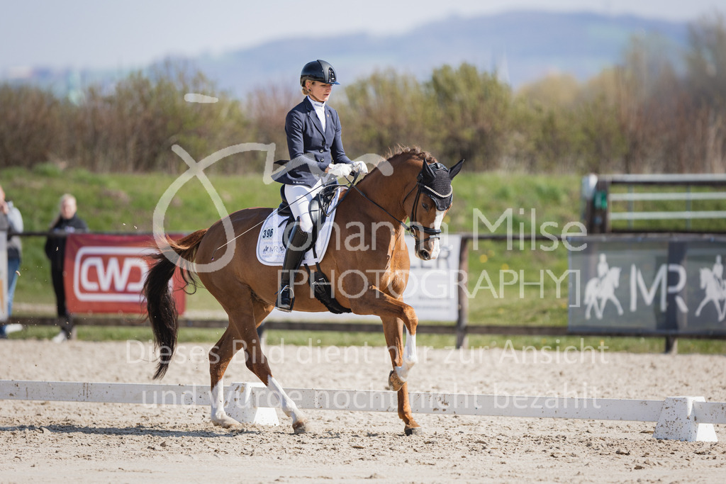 230410_Frühlingsfest_Dressurpf-M-118 | Deine schönsten Turniermomente als professionelle Fotos! Entdecke hochwertige Pferdesport-Fotografie im Online-Shop. Jetzt Fotos finden & bestellen!