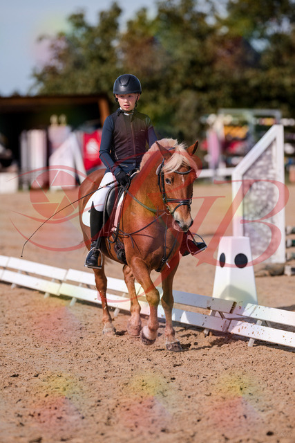 2026_10_03_Siefer-Hof_120031_Z81_02392380 | Professionelle Reitsport-, Turnier- und Eventfotografie von Robert Broda. Galerien mit ausgewählten und bearbeiteten Bildern direkt online ansehen und bestellen.