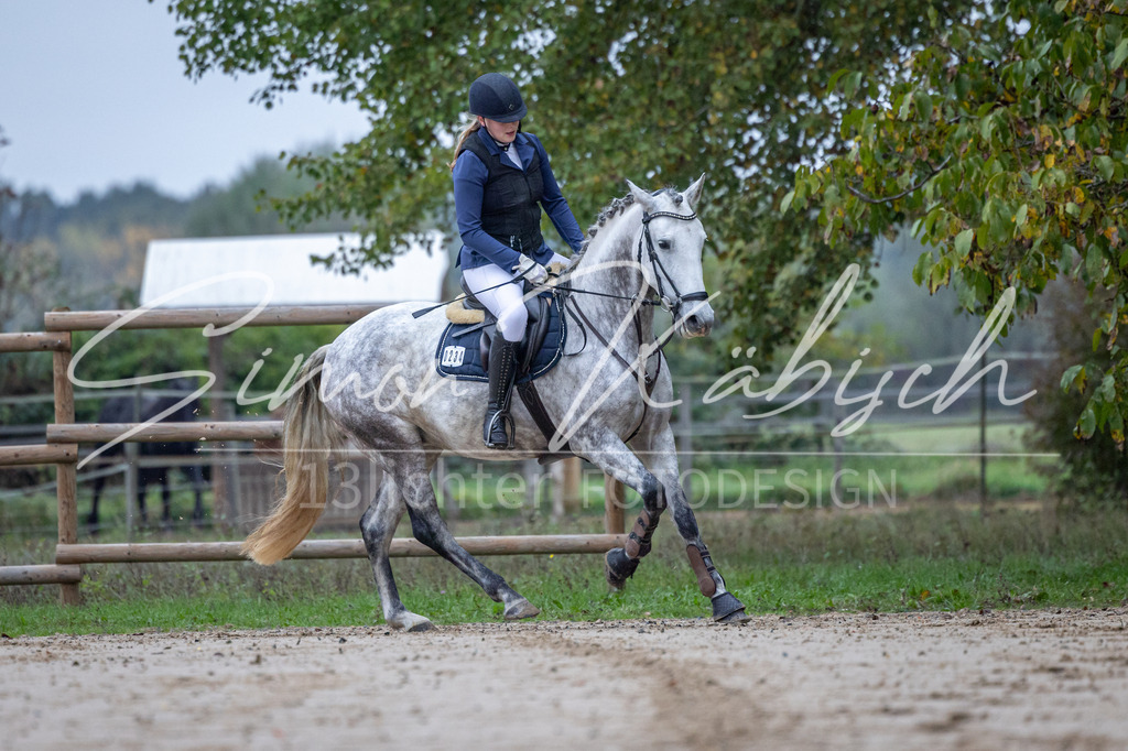 20251012-_3LI2491 | Tierfotografie Pferde, Hunde, Katzen, Haustiere.
Turnierfotografie Reitturniere, Reiten, Springreiten, Dressur in Hanau, dem Main-Kinzig-Kreis und dem Rhein-Main- Gebiet um Frankfurt