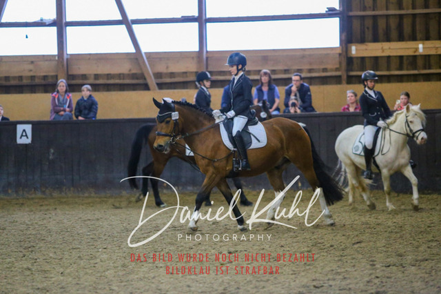 IMG_1659 | Turniersportfotografie; Pferdefotografie; Dressurfotografie