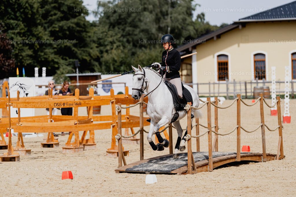 Virginie12FHC2025-2597 | working equitationturnier fotograf videograf stoibphotography marixx film working equitation deutschland reitsport turnierfotografie eventfotografie equestrian events