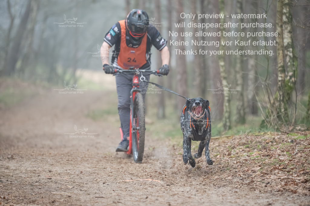Scooter1-92 | stephaniefillaphotographie - Realisiert mit Pictrs.com