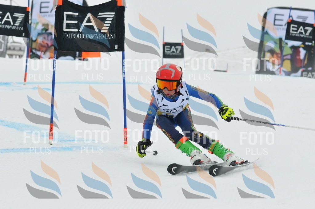 DSC_8683 | holidayphoto