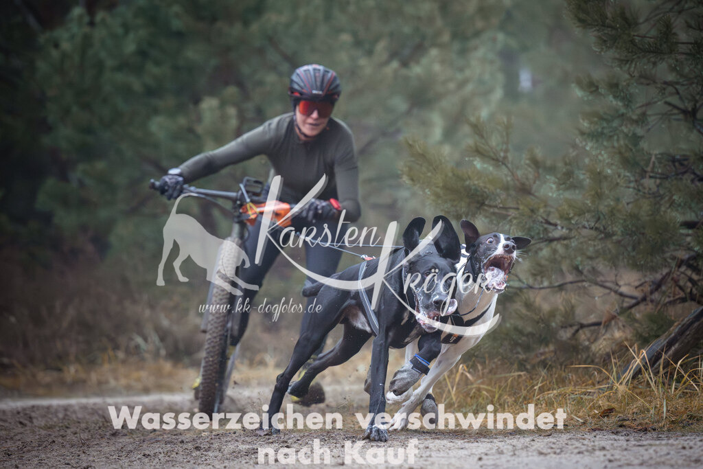 0933_ZZ98194 | kk-dogfotos