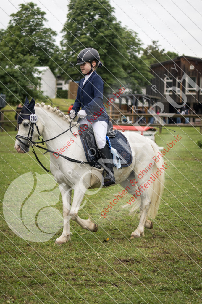 IMG_8030 | Sport-, Event- und Tierfotos in Profiqualität. Einfach auswählen, bestellen und herunterladen. Dein Moment – perfekt festgehalten.